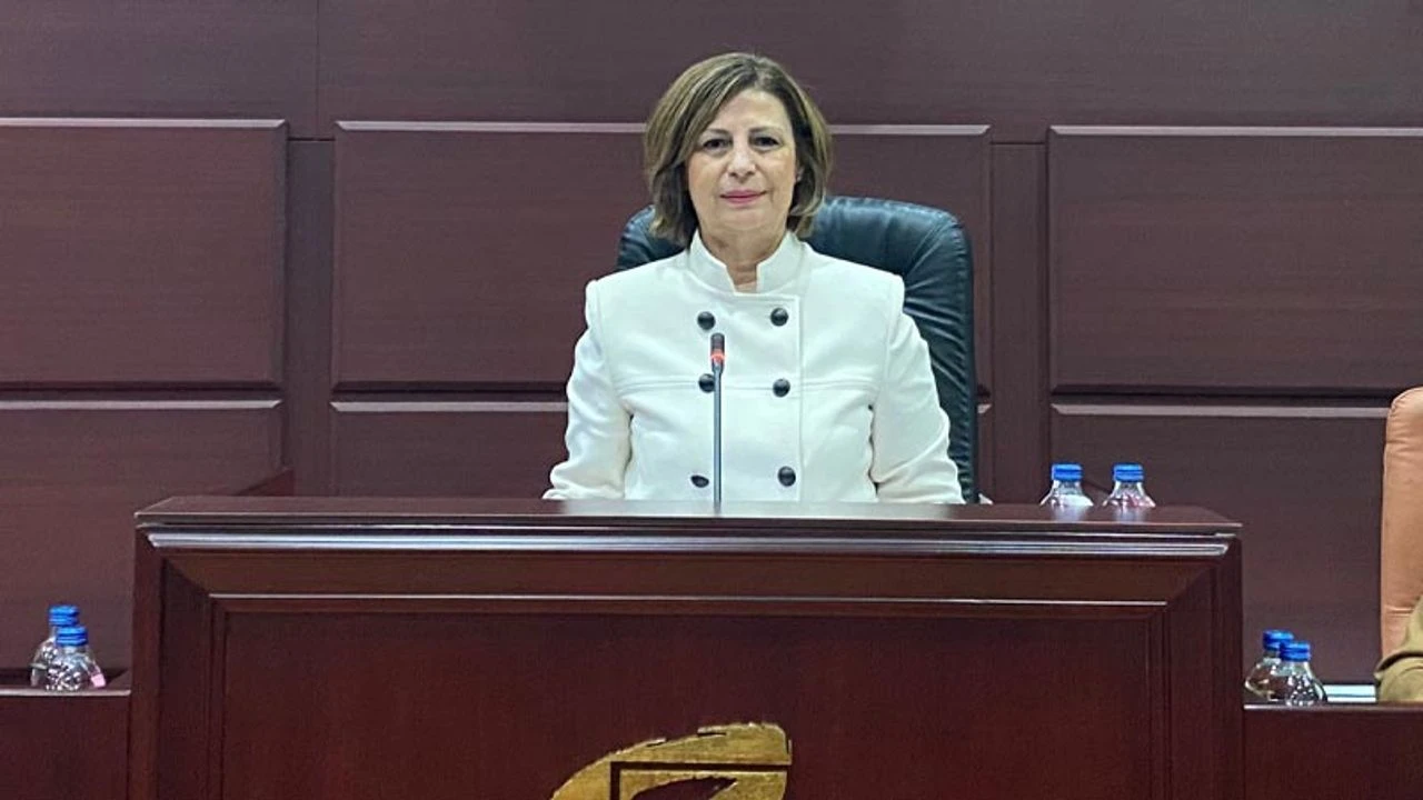 Ayse Unluceden Meclis Uyelerine Onemli Hatirlatma