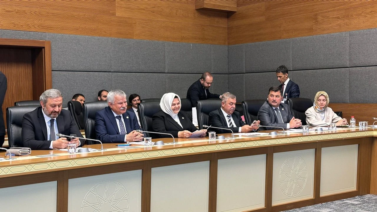 Aysen Gurcan Komisyon Baskani Oldu