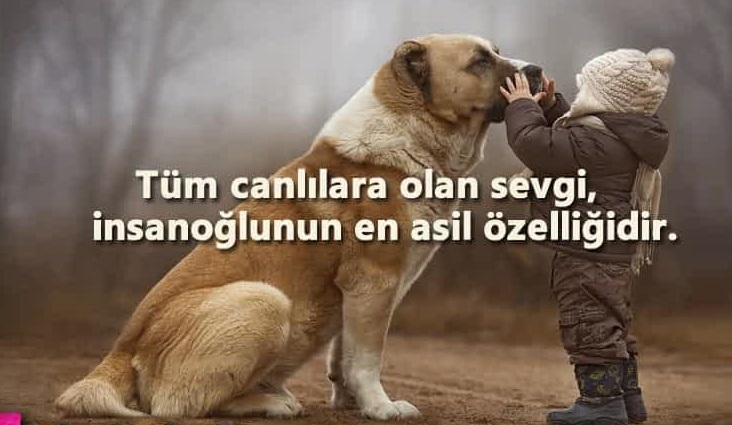 Günün Sözü-436