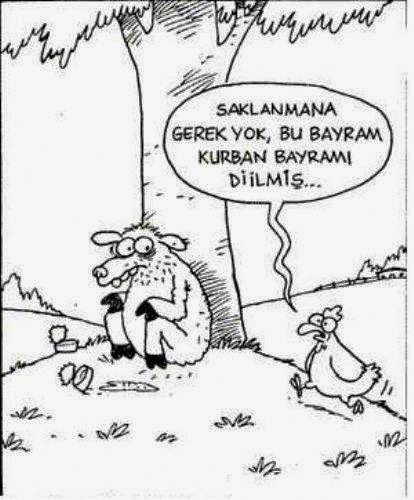 K A R İ K A T Ü R-100