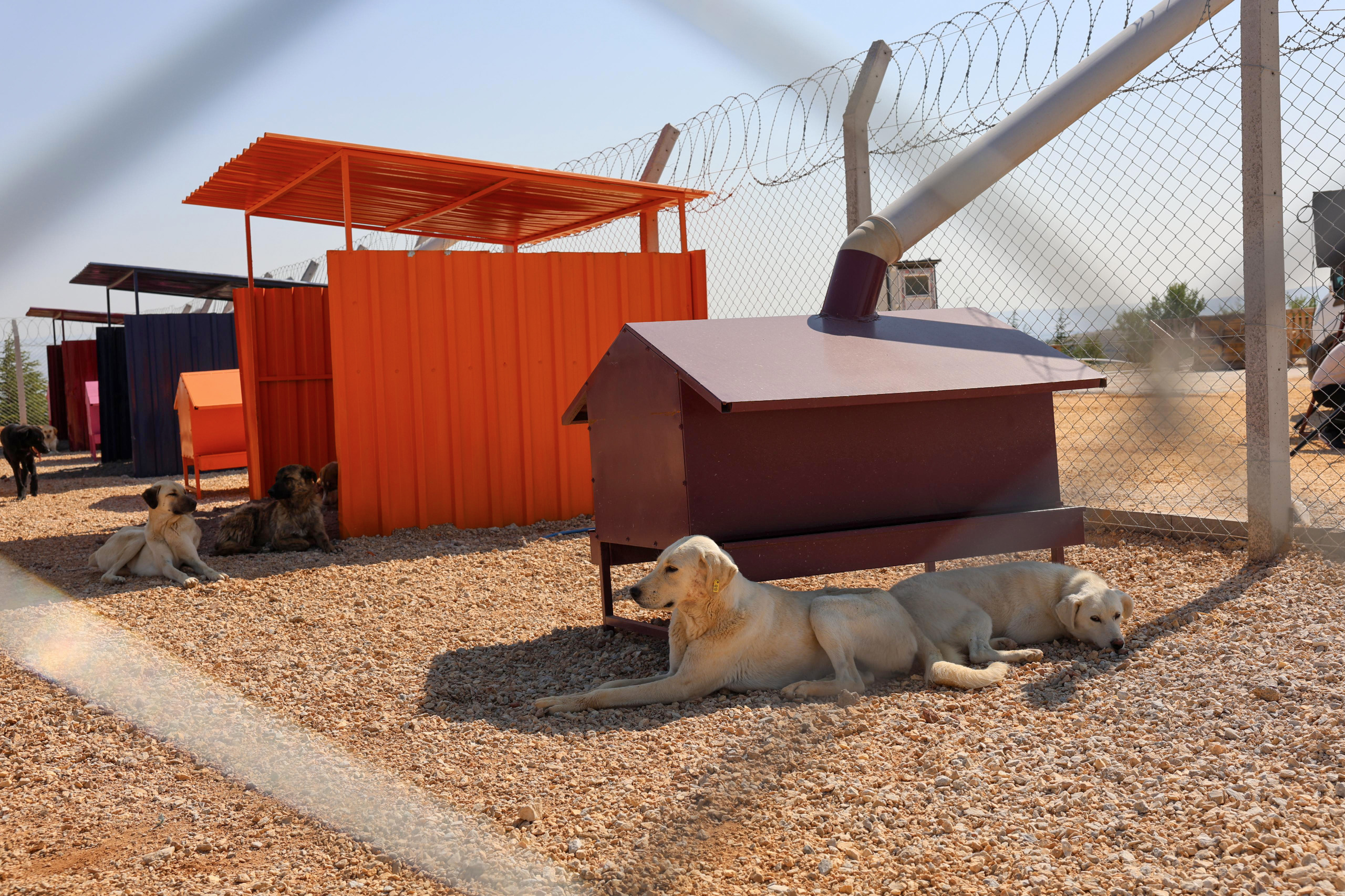 “Şefkatle Yaptik, Sevgi̇yle Yaşatacağiz” (10)