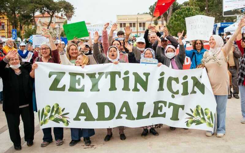 Zettin