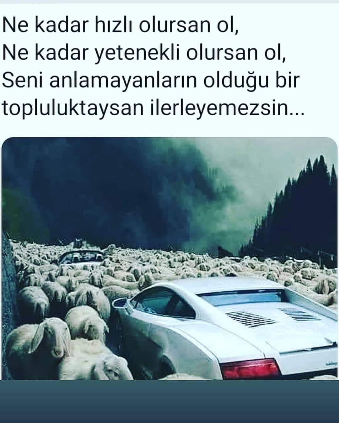 Günün Sözü-449