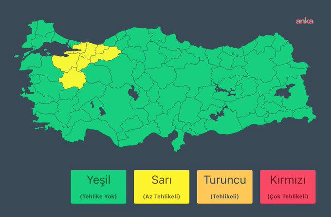 Sarı