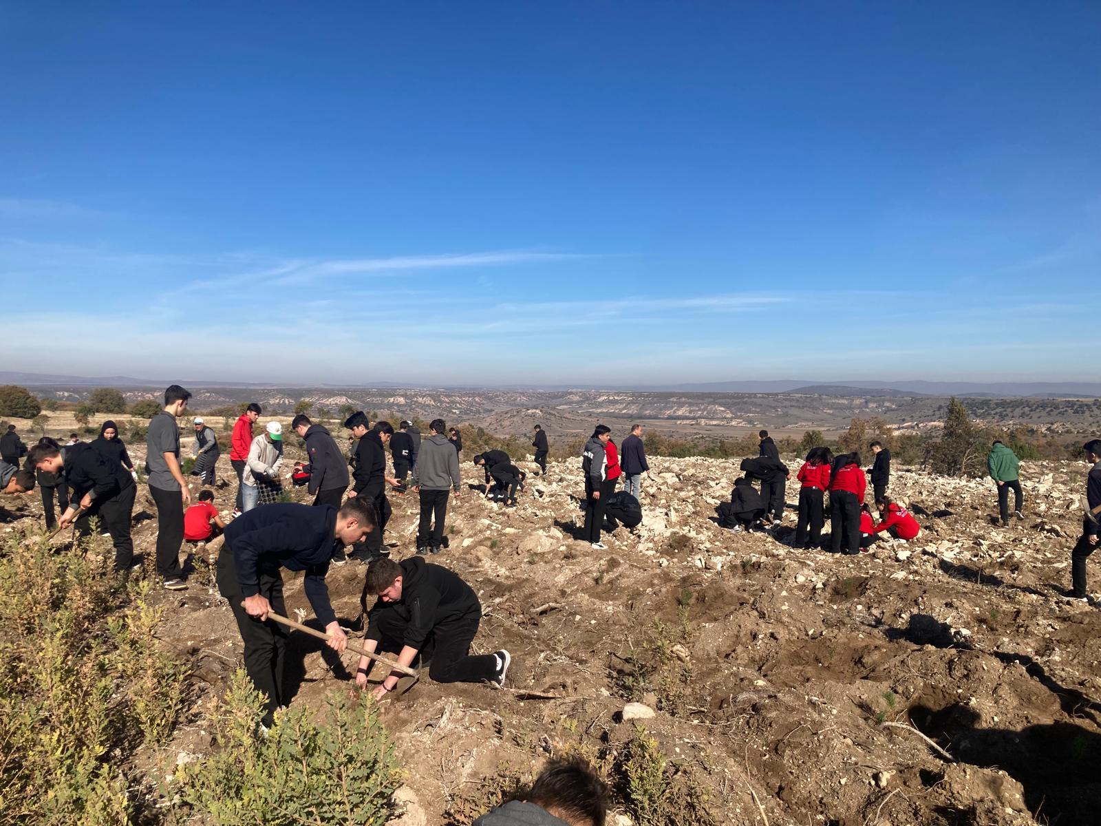 3A55814F Aae0 41D7 8336 8F55A3C09F30