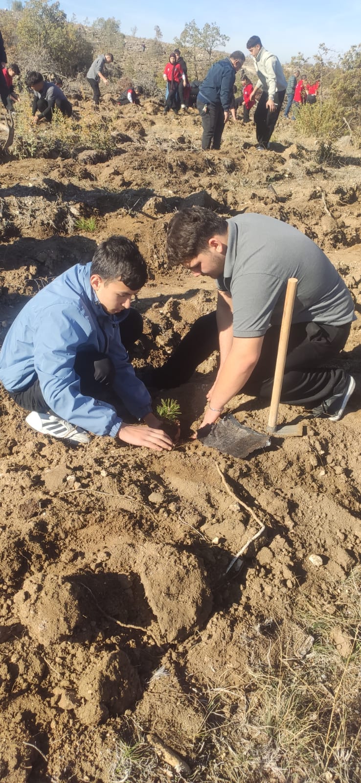 A0F9A784 5E53 41Ee 9C15 1E6F2E7Ac9A0