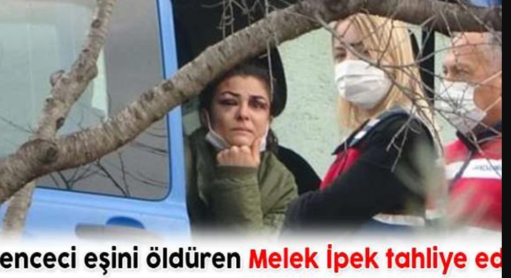 M E L E K-1