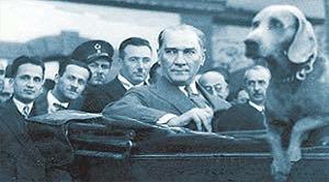 Ataturk Kopek Fox