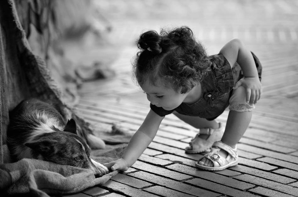 Köpekle Küçük Kız