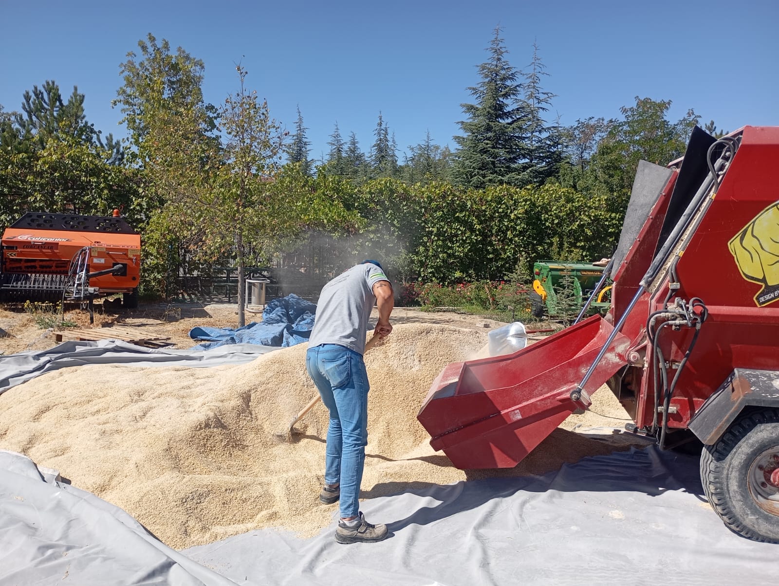 Tohumdan Çuvala Yerli̇ Üreti̇m (4)