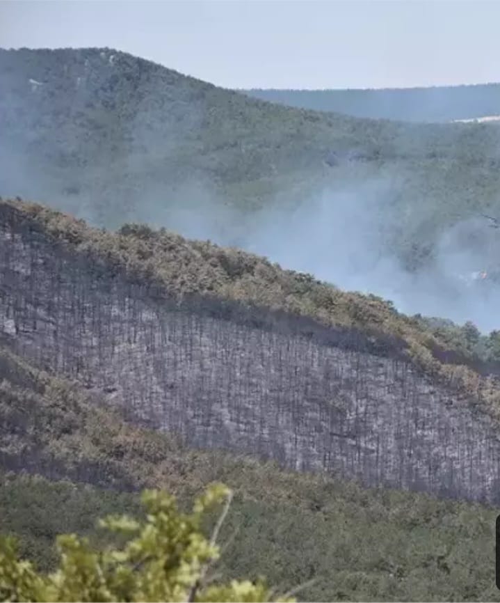 Whatsapp Image 2025 11 27 At 10.22.54 (1)