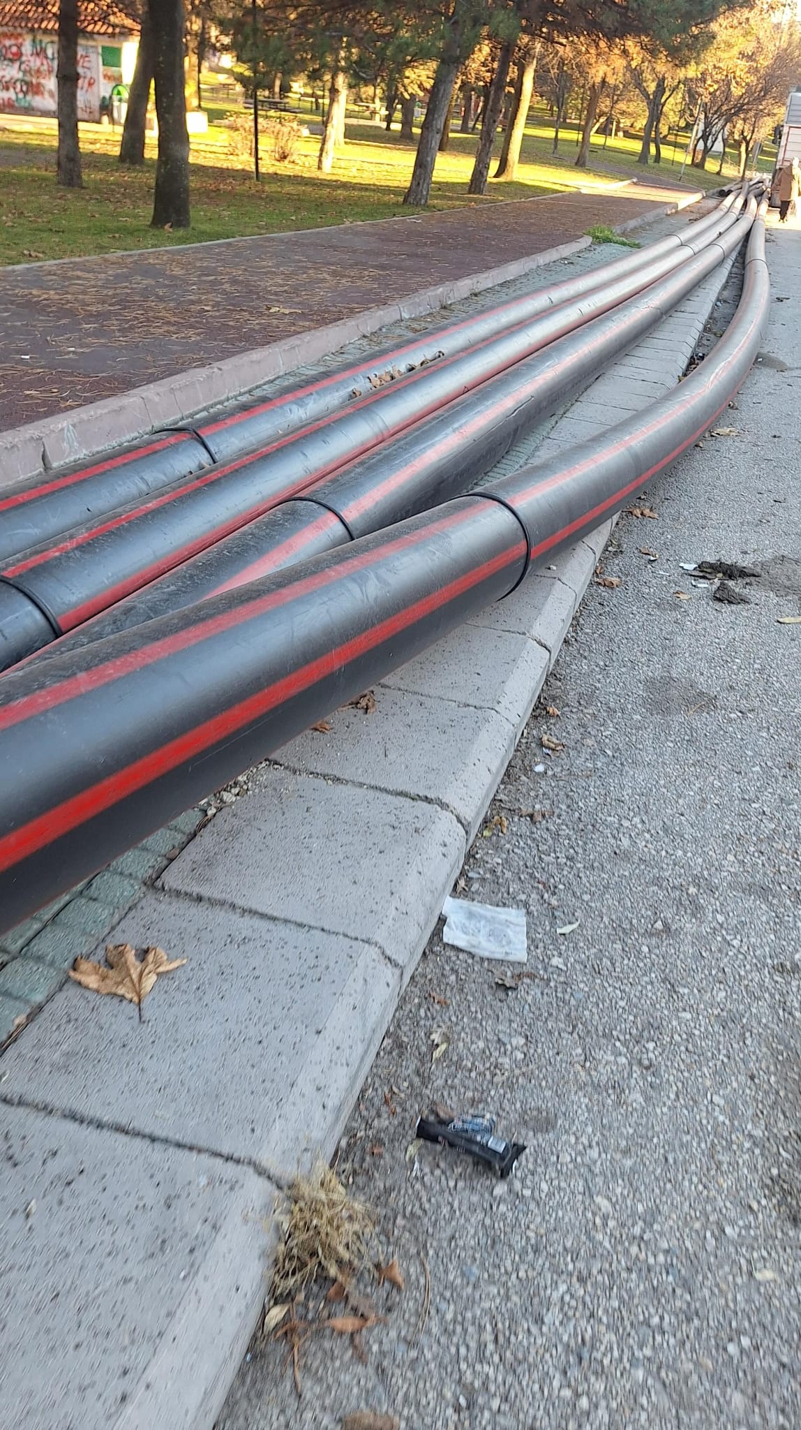 Af7Eac2C Cfbe 46D2 845D 87842E2F19Ae