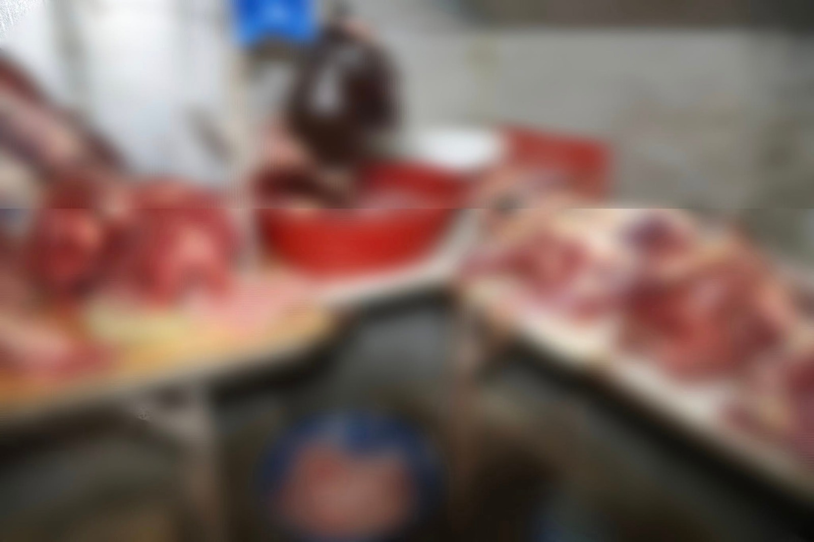 Whatsapp Image 2025 12 11 At 11.20.32 (2)