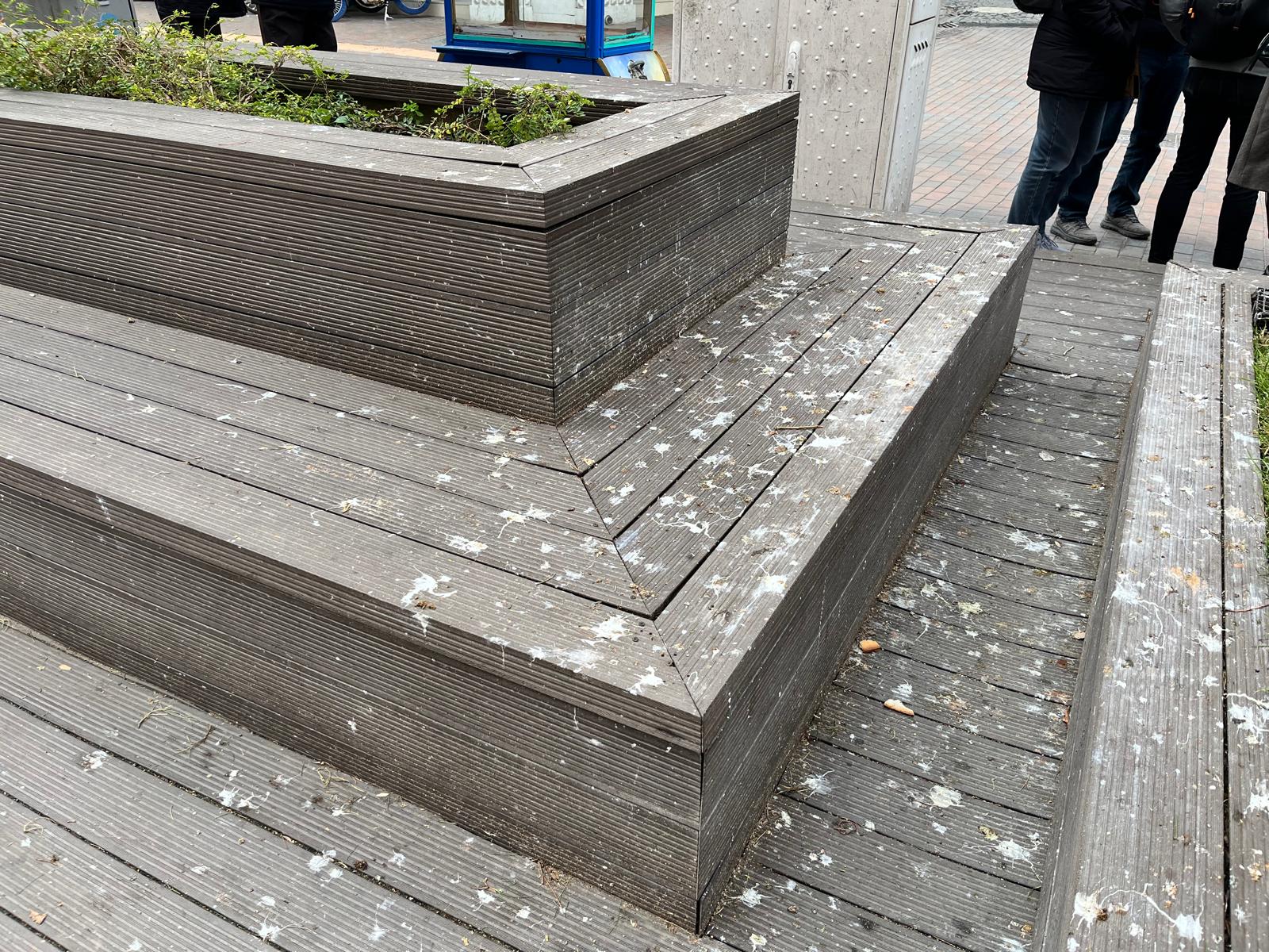 Whatsapp Image 2025 12 14 At 12.10.08 (1)