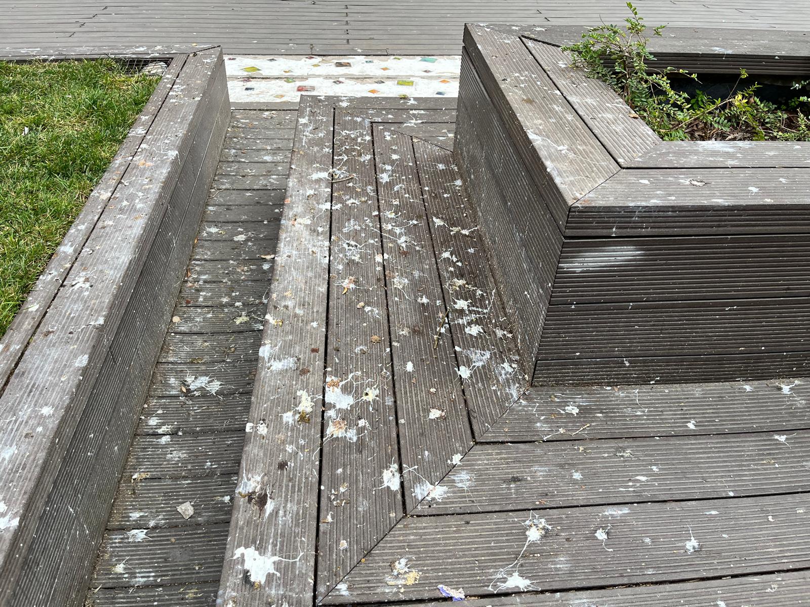 Whatsapp Image 2025 12 14 At 12.10.08