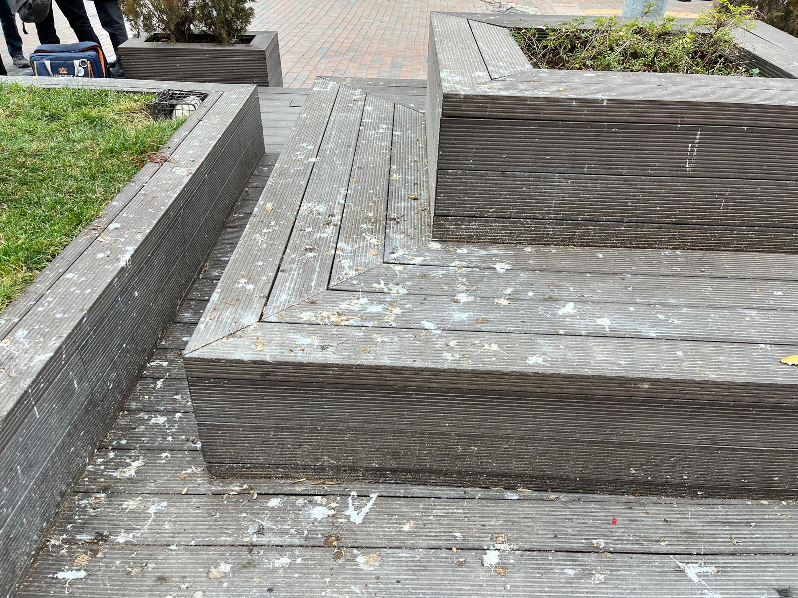 Whatsapp Image 2025 12 14 At 12.10.11