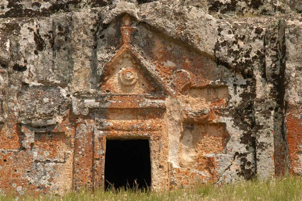 20160420131850125 D S C 0087-1