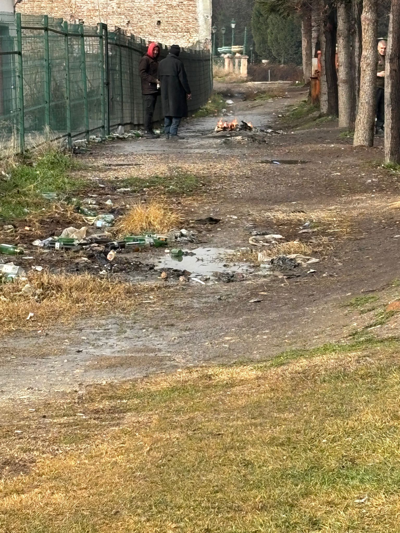 Whatsapp Image 2026 01 28 At 12.15.22