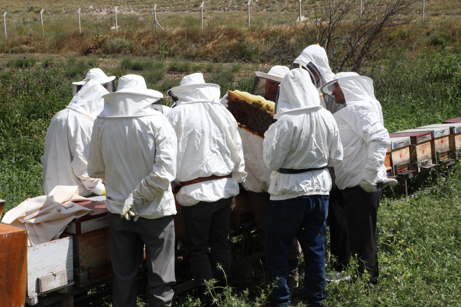 Arıköy Kayıtları Başlıyor (2)