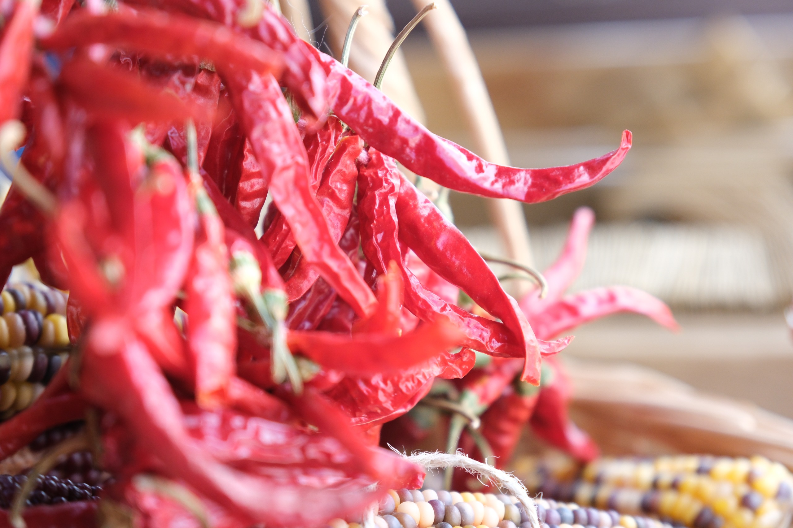 Büyükşehi̇r Yerel Tohum Takas Günleri̇ Başliyor (3)