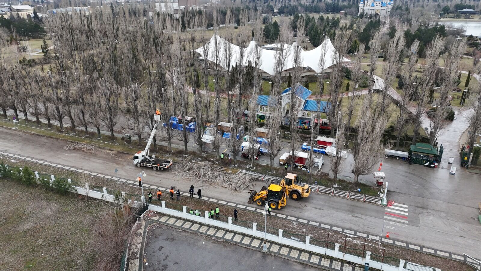 Ekoloji̇k Ömrünü Tamamlayan Kavaklar Yeri̇ni̇ Çinarlara Birakiyor (7)