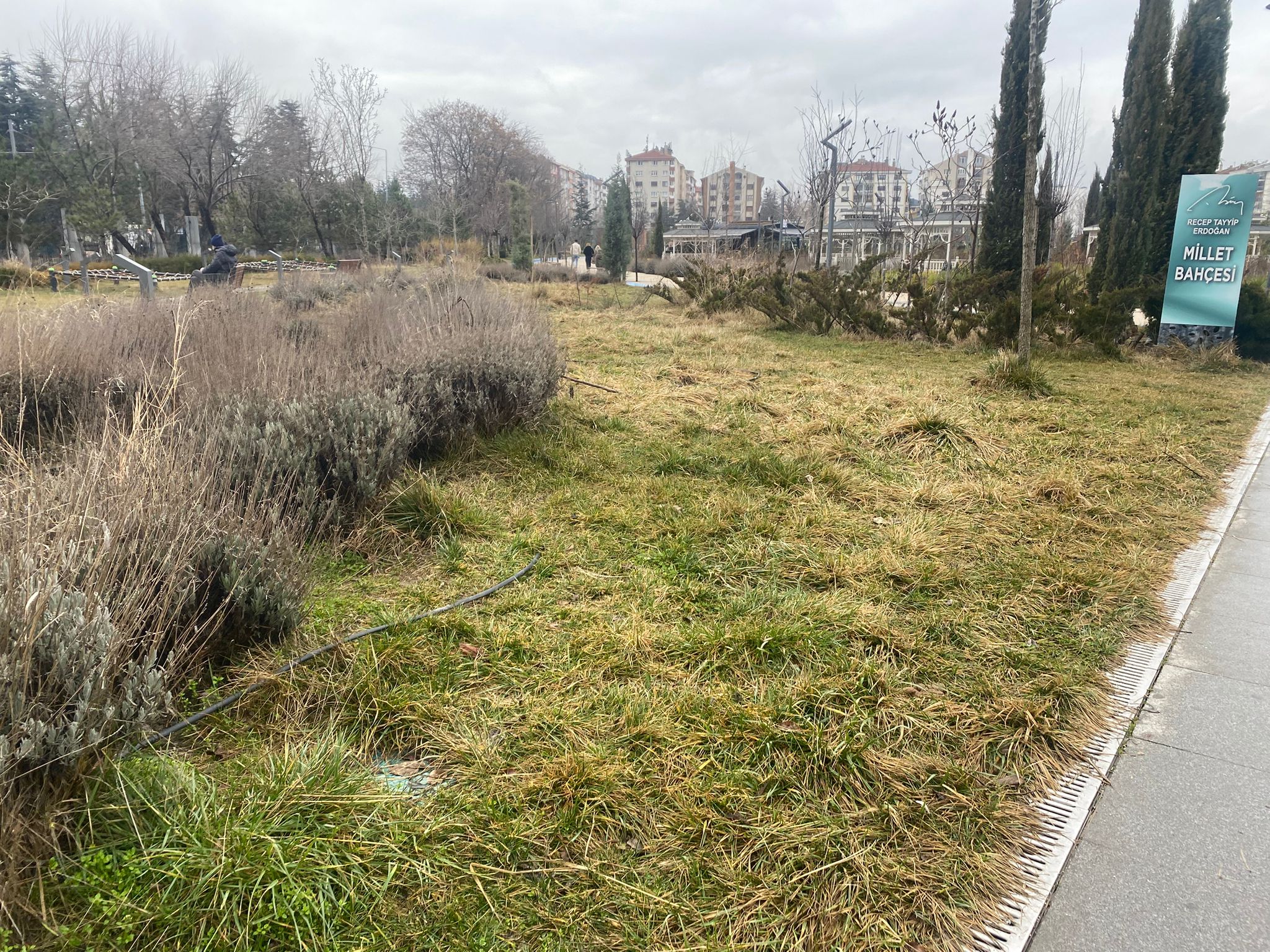 Mi̇llet Bahçesi̇ (2)