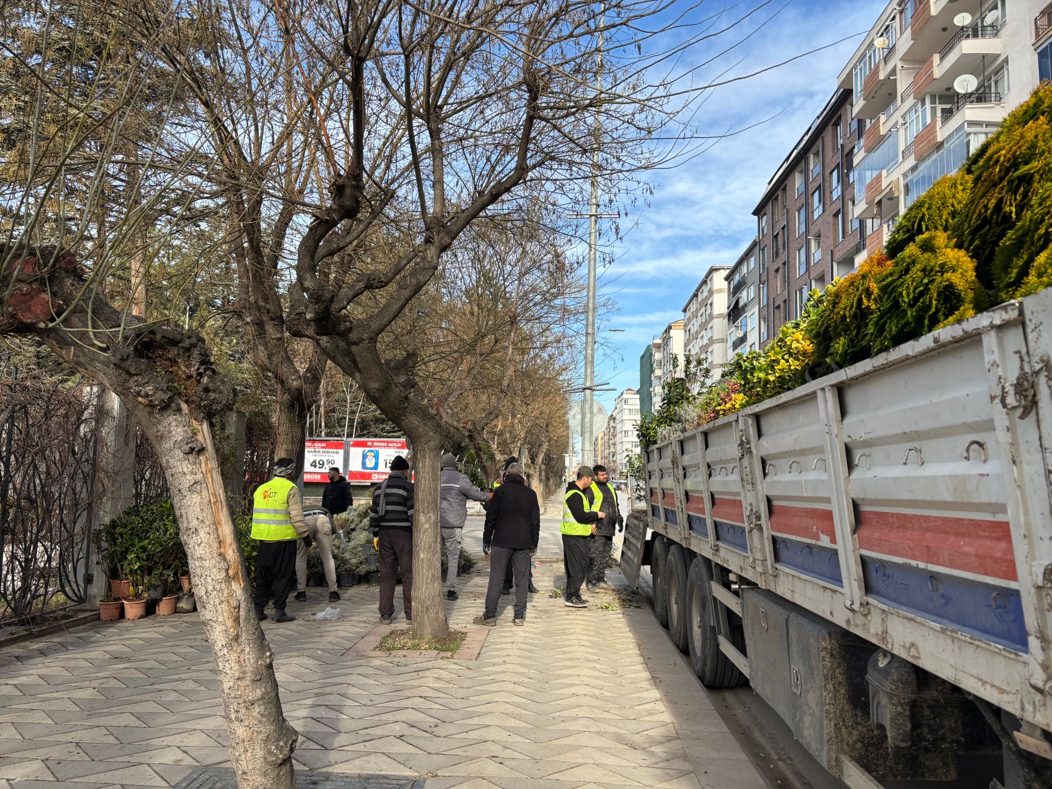 Whatsapp Image 2026 02 15 At 11.10.20