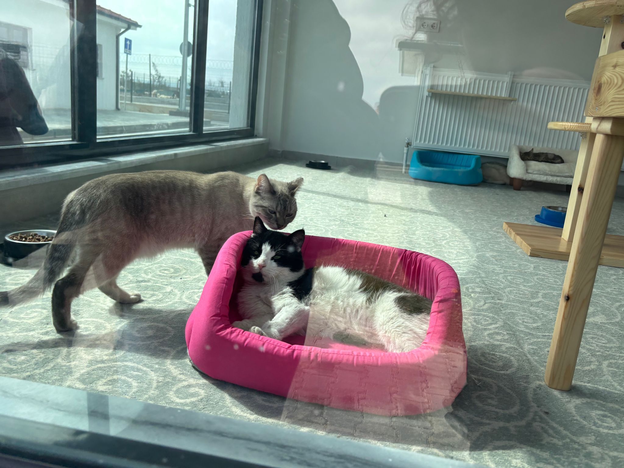 Barinak Açiliş (22)