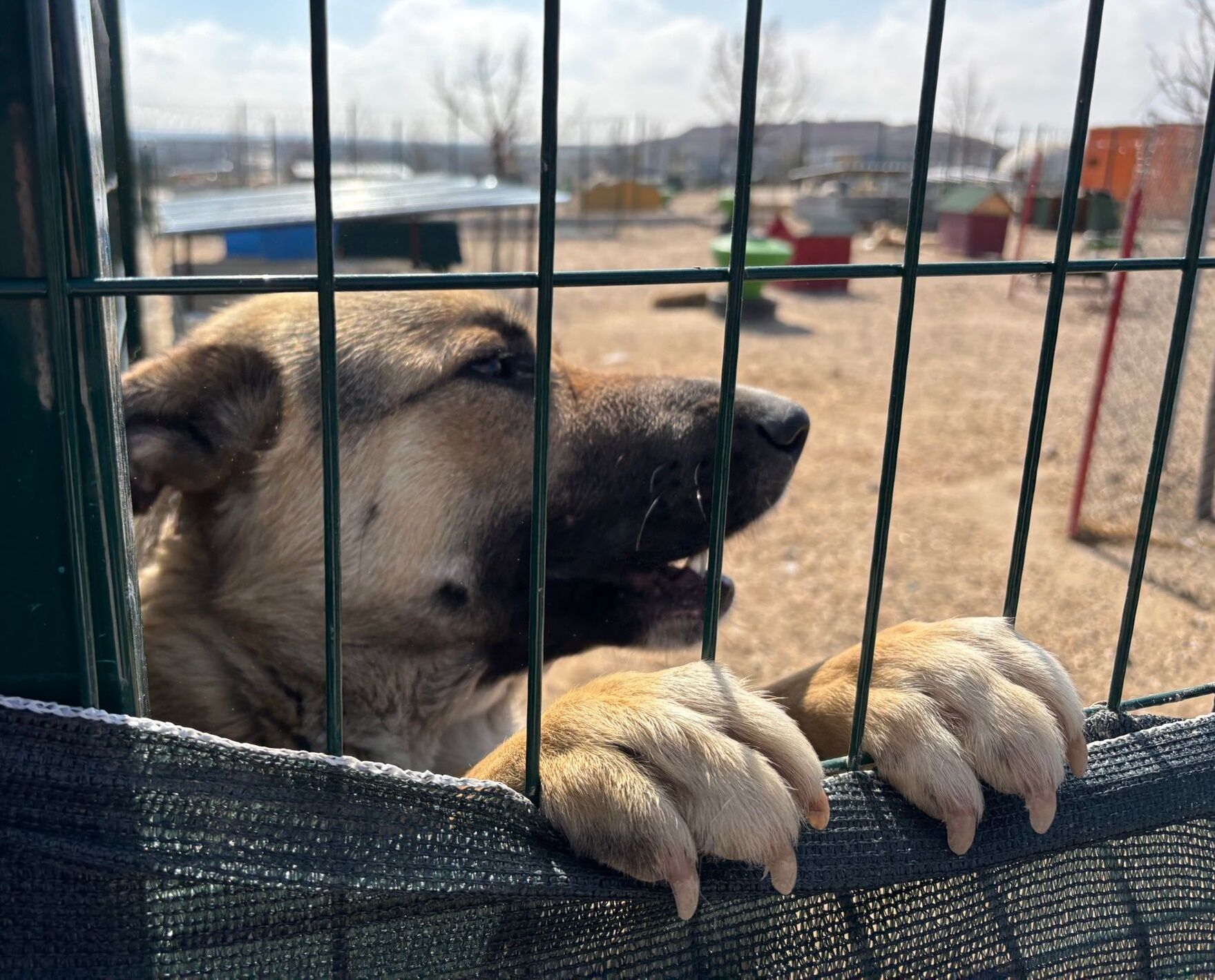 Barinak Açiliş (38)