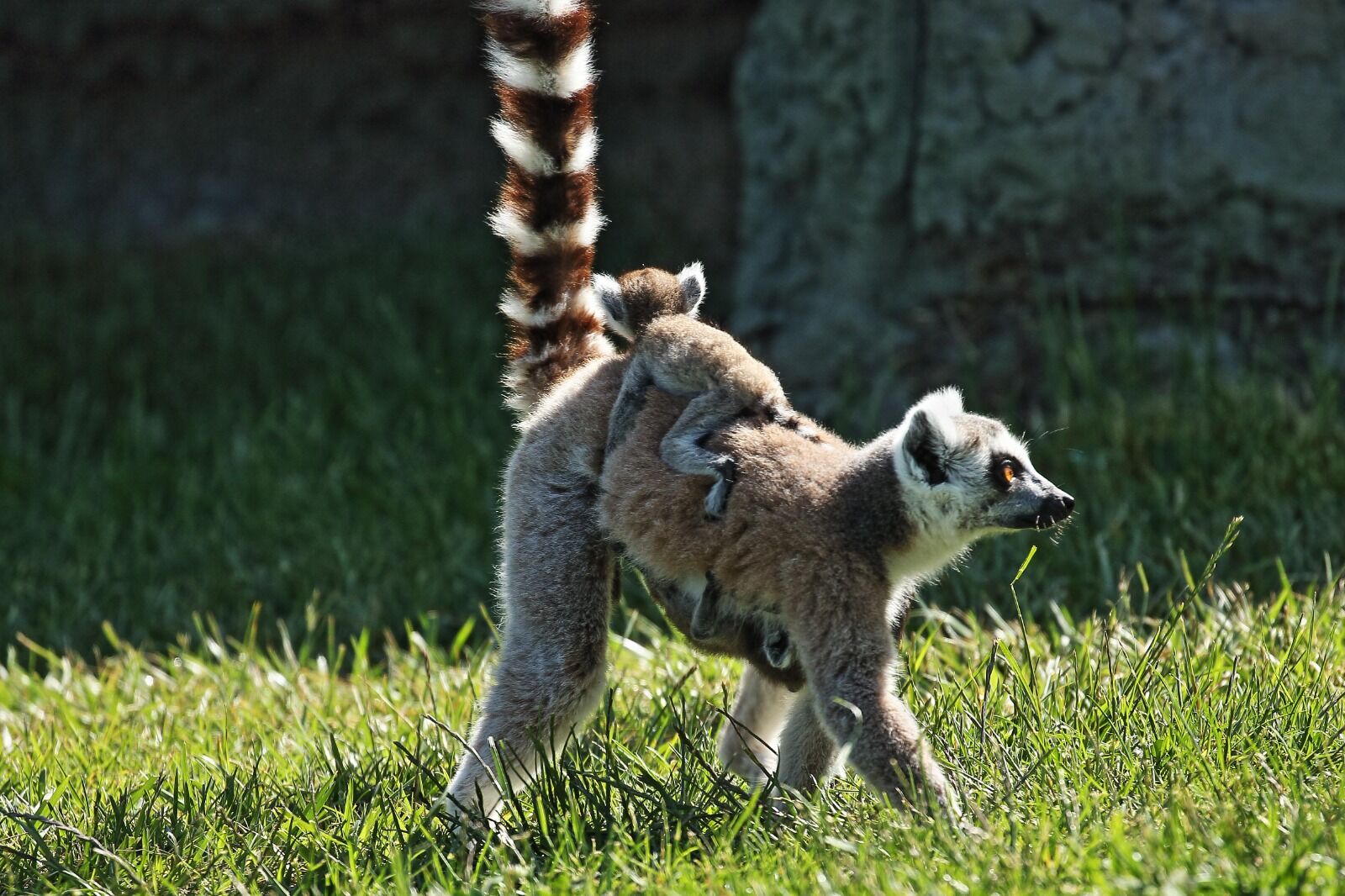 Bayram Tati̇li̇nde Müzeler 28 Bi̇n Ki̇şi̇yi̇ Ağirladi (3)