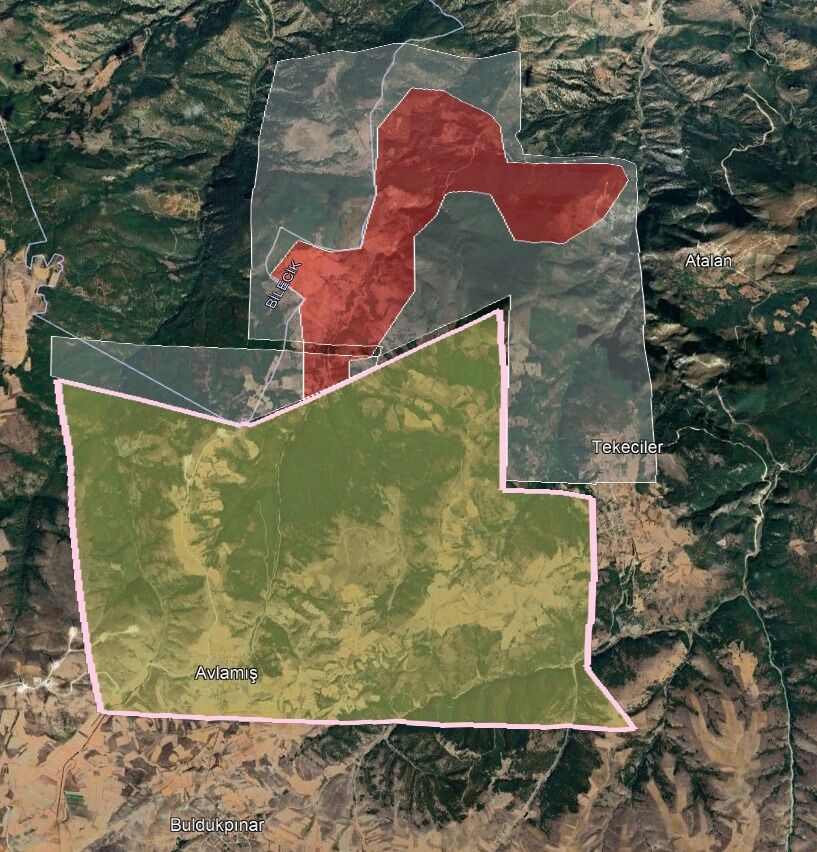 Whatsapp Image 2026 03 25 At 11.11.46