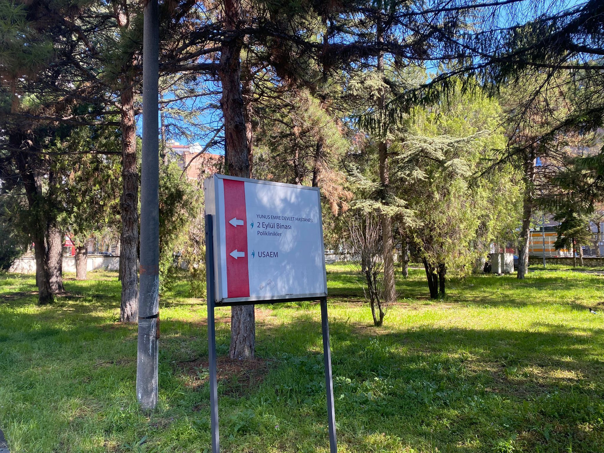 E43486Ac 0Ef7 4A33 Bab1 F8954E503E8E