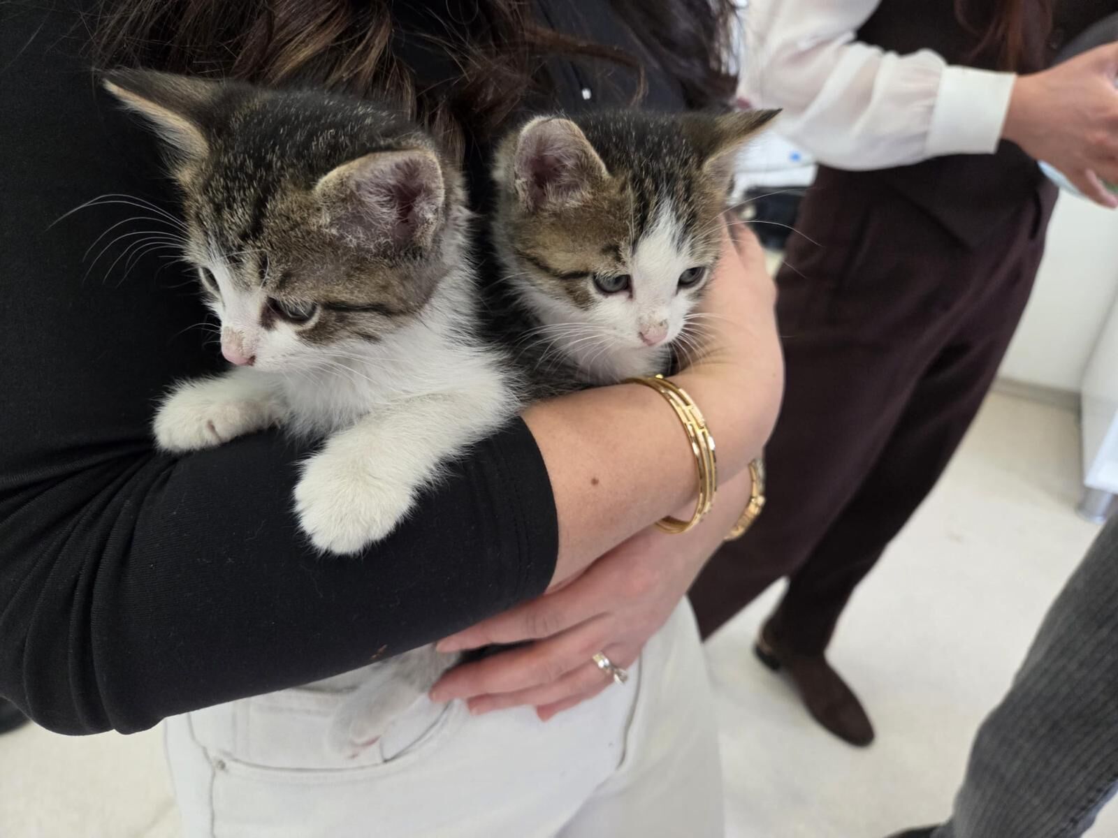 Özel Çocuklardan Sokak Hayvanlarına Sıcak Yuva (4)