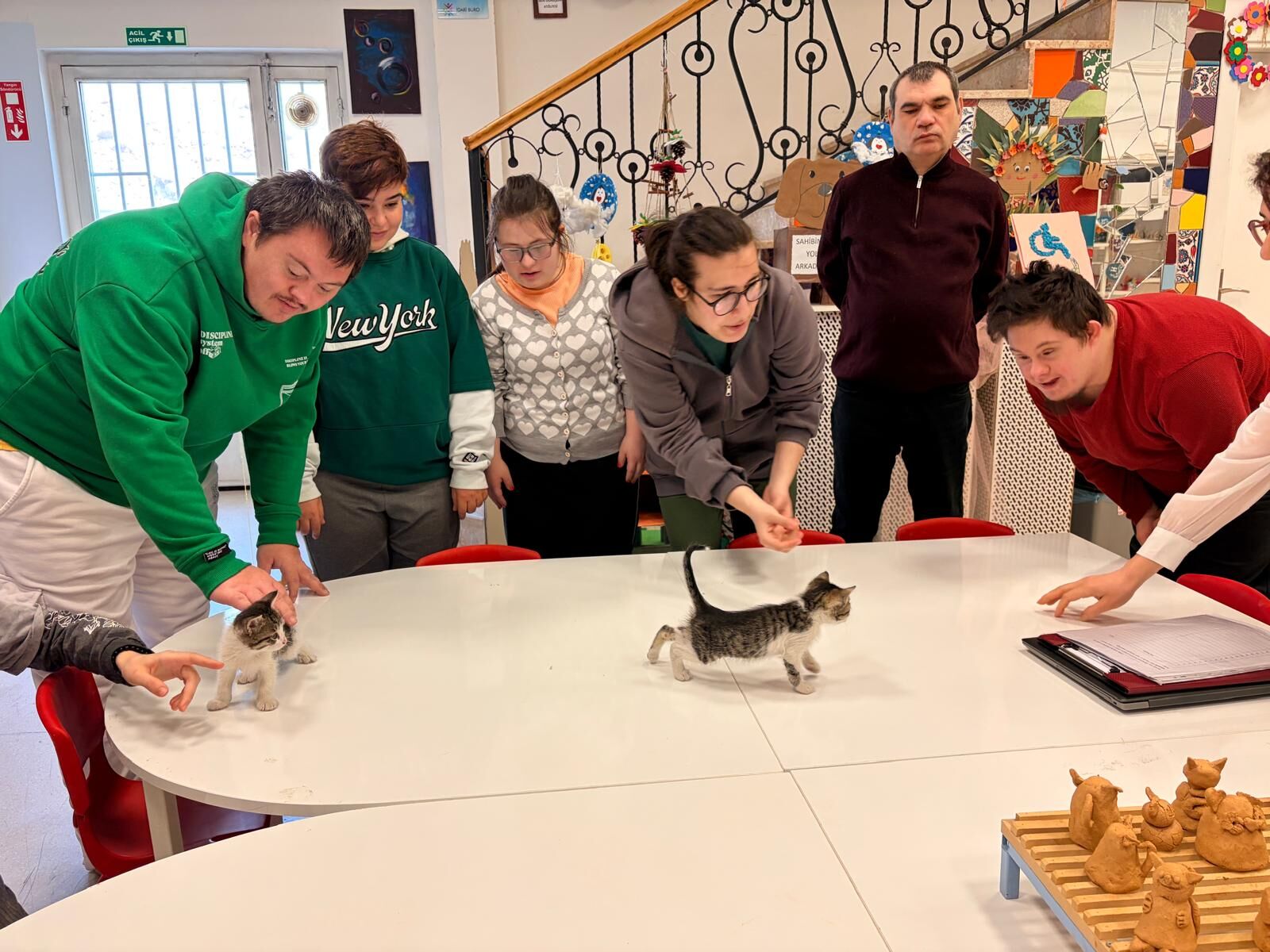 Özel Çocuklardan Sokak Hayvanlarına Sıcak Yuva (8)