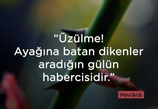 Günün Sözümakar-1
