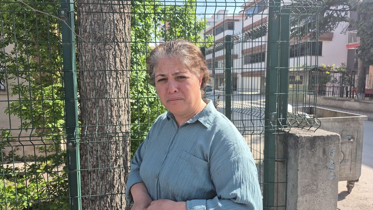 Kedi̇ (4)