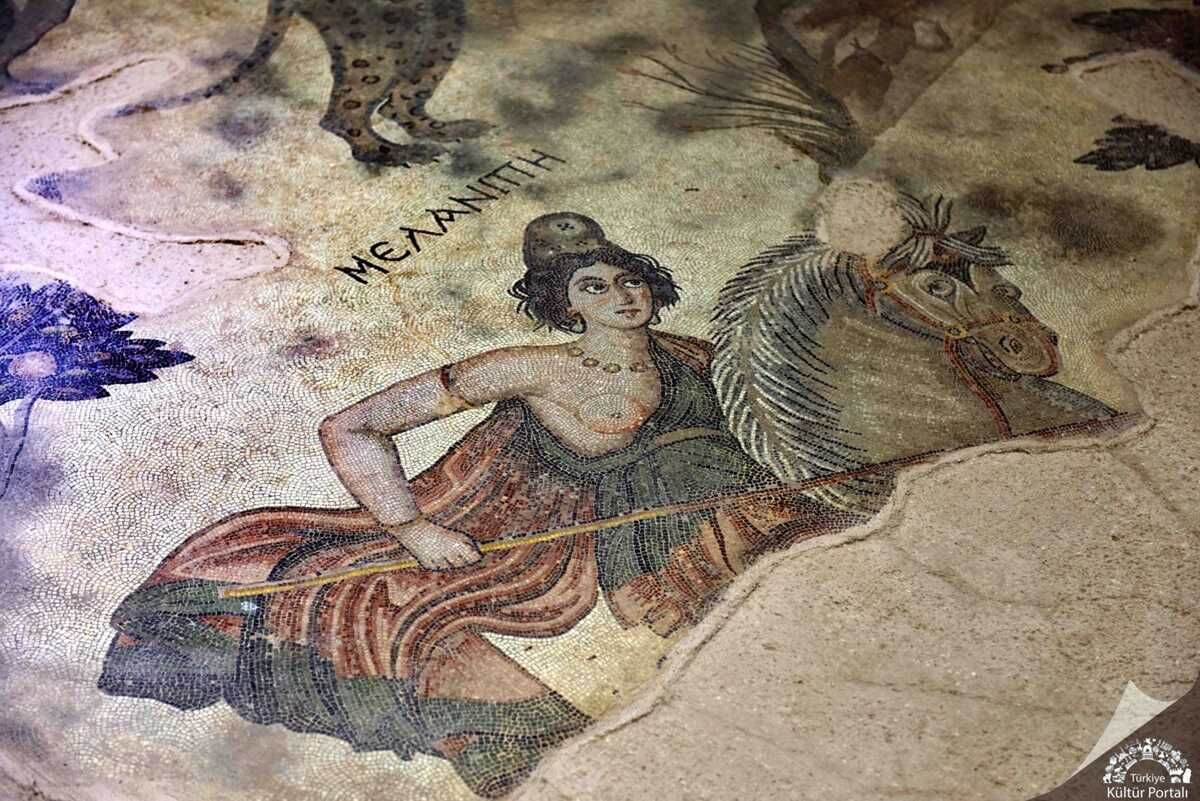 Şanliurfa Mozaik Müzesi̇ Gülcanacar (19) Kopya