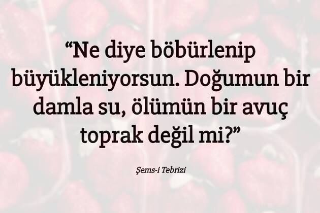 Günün Sözü-614