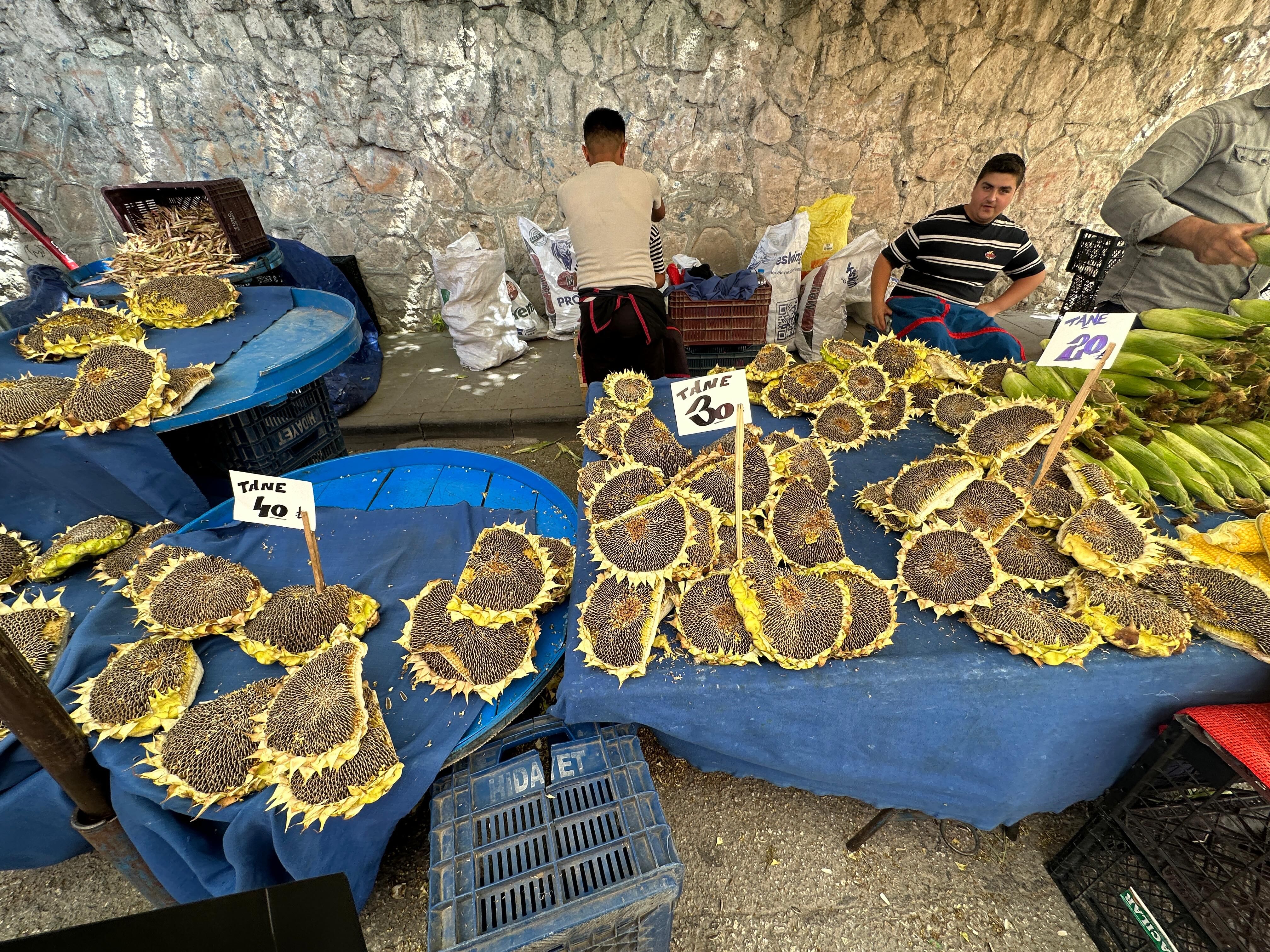 Ayçi̇çeği̇ (1)
