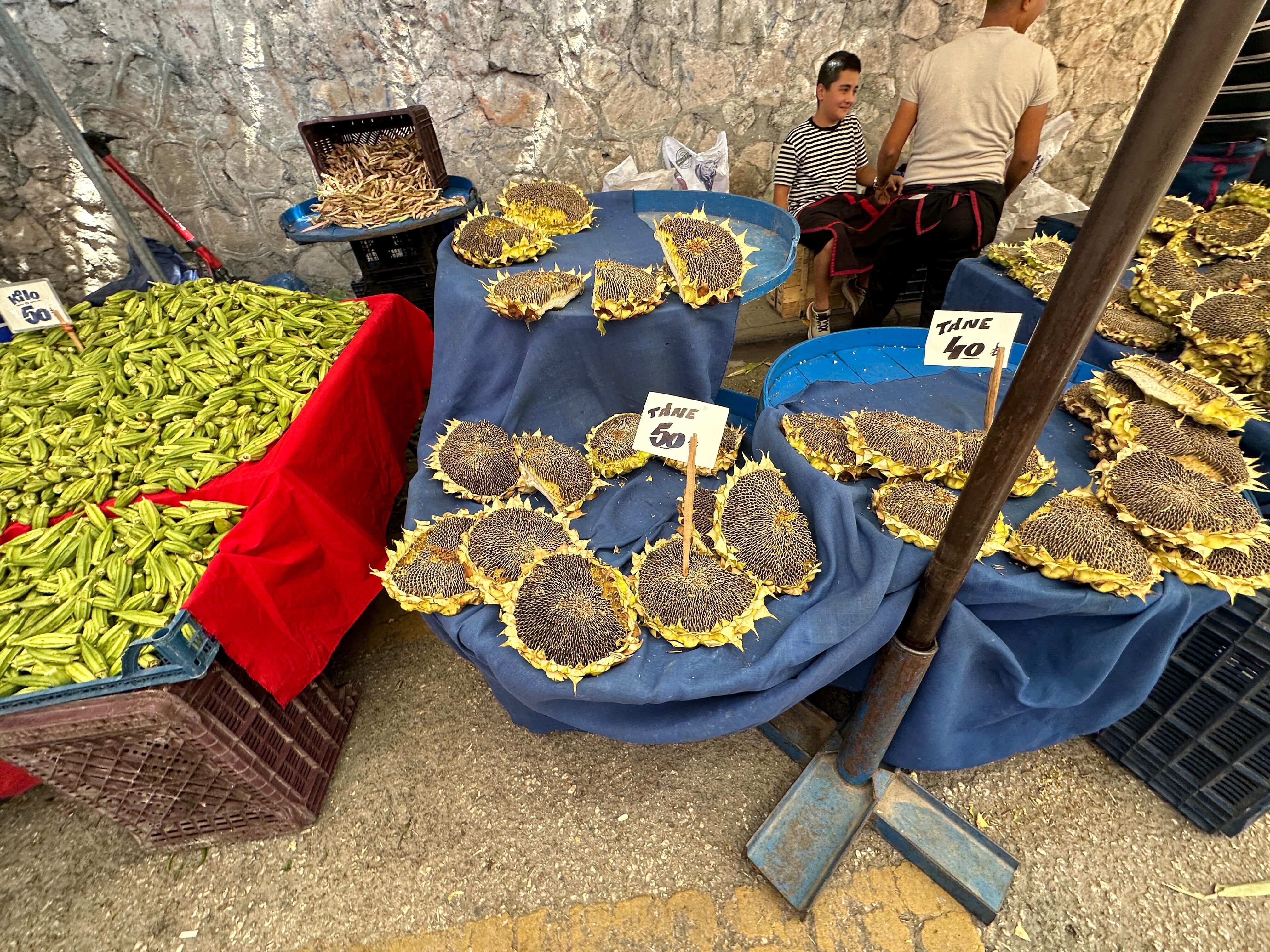 Ayçi̇çeği̇ (2)