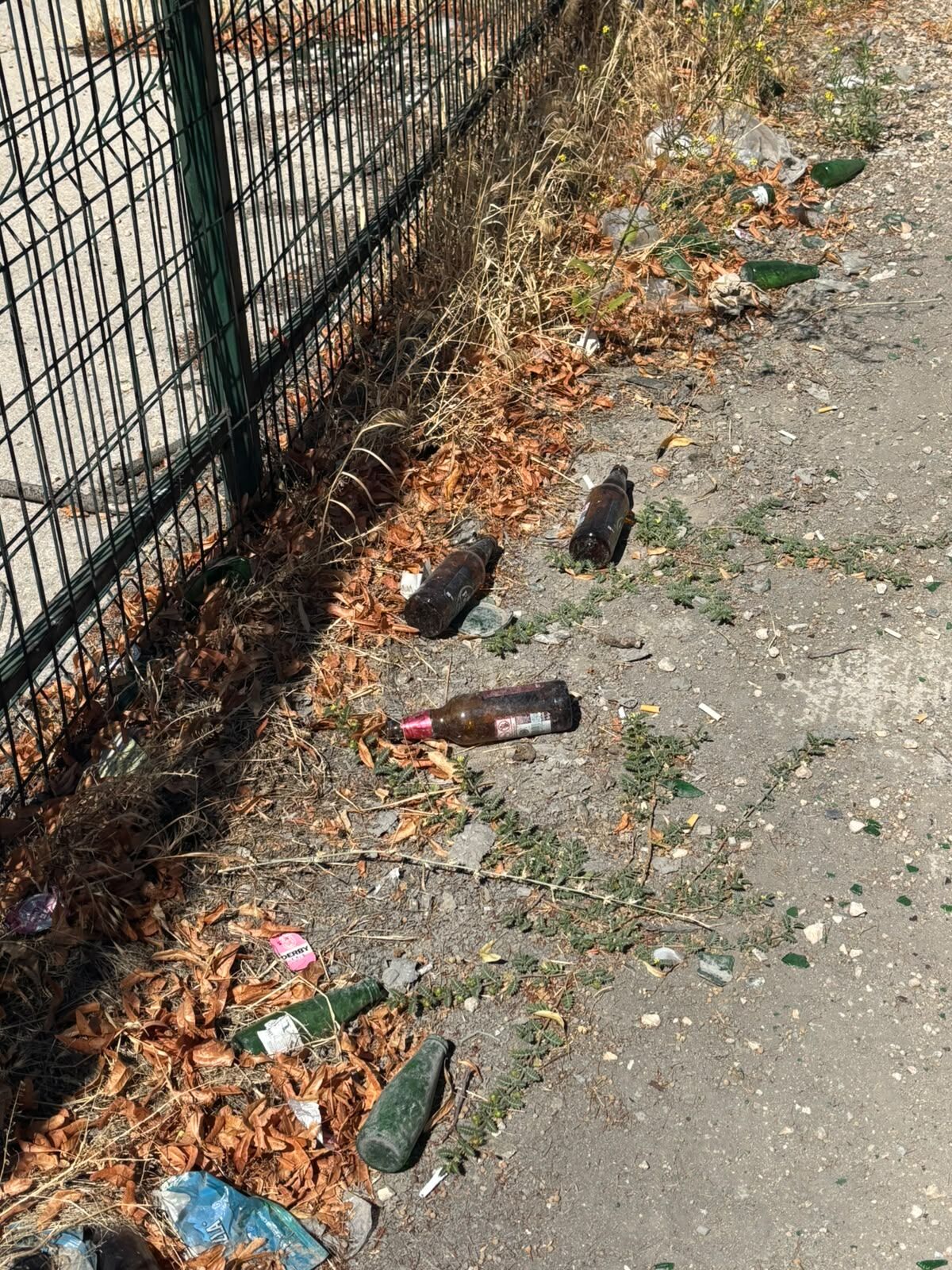 Kolaj1