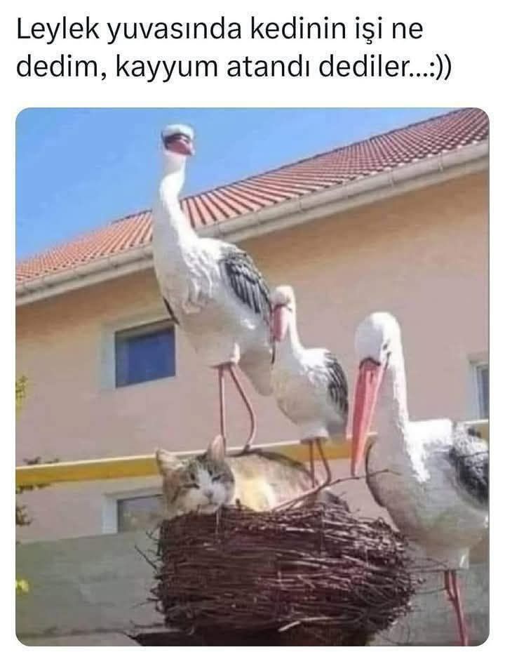 Sosyal Medya-141