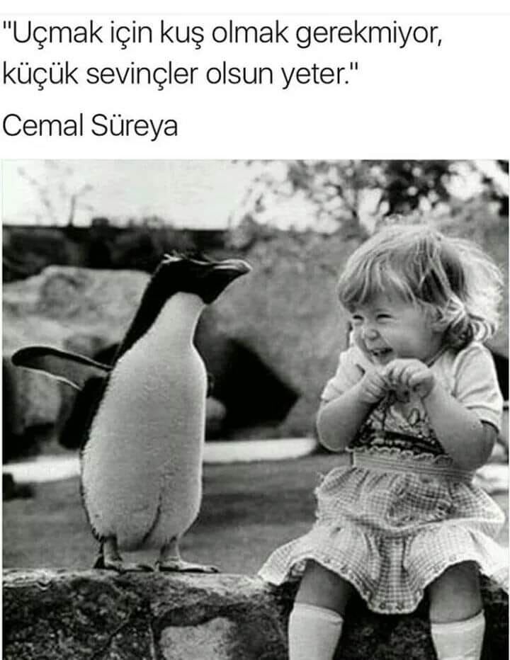 384188329 10160723951564194 8374006747088372174 N-1