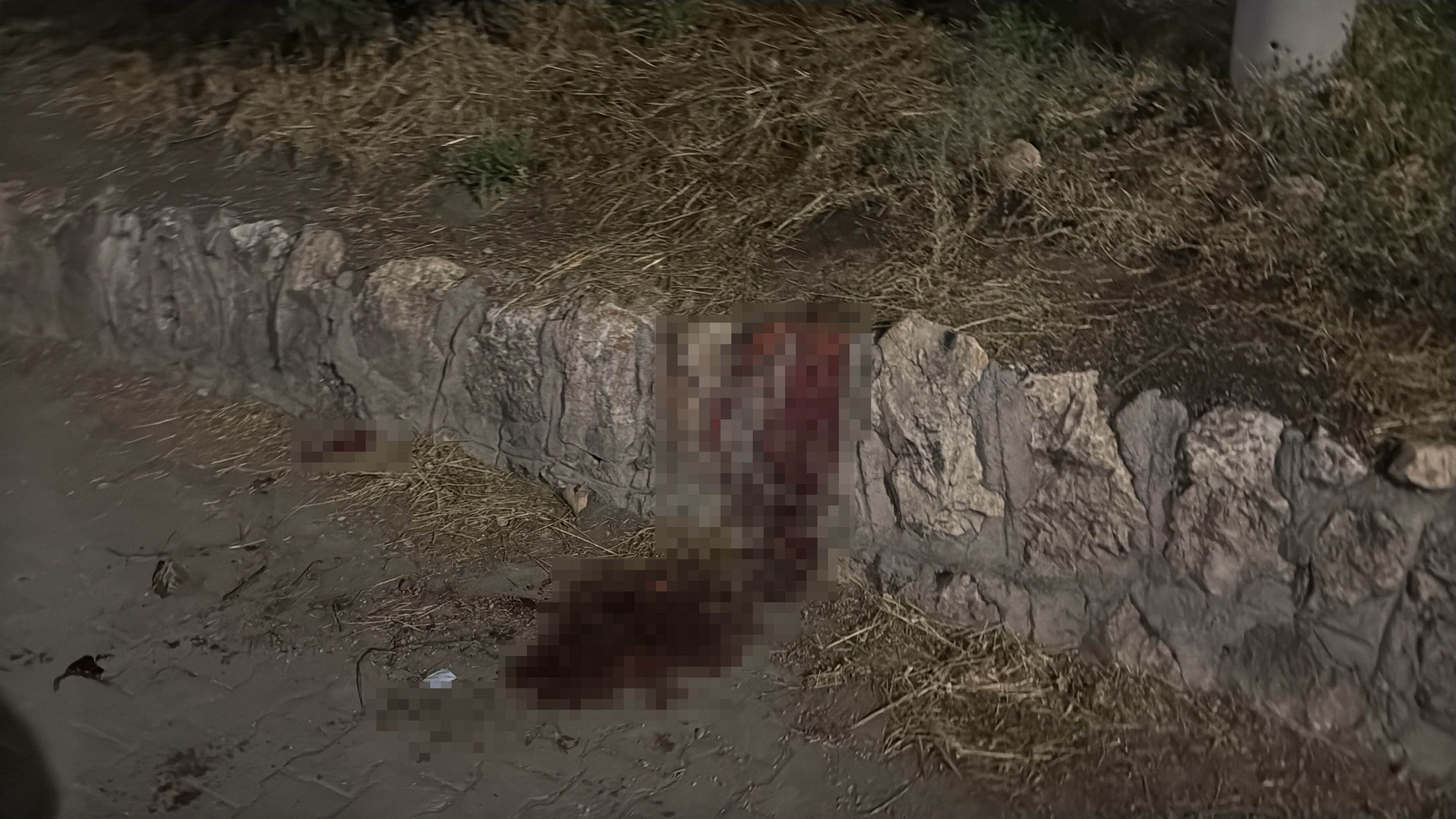Bıçaklı kavgada yaralanan 17 yaşındaki çocuktan iyi haber