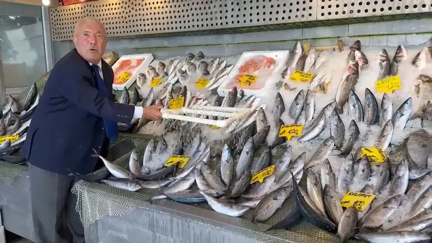 Denizden bol bol çıkıyor: Hamsi ve palamut fiyatları belli oldu