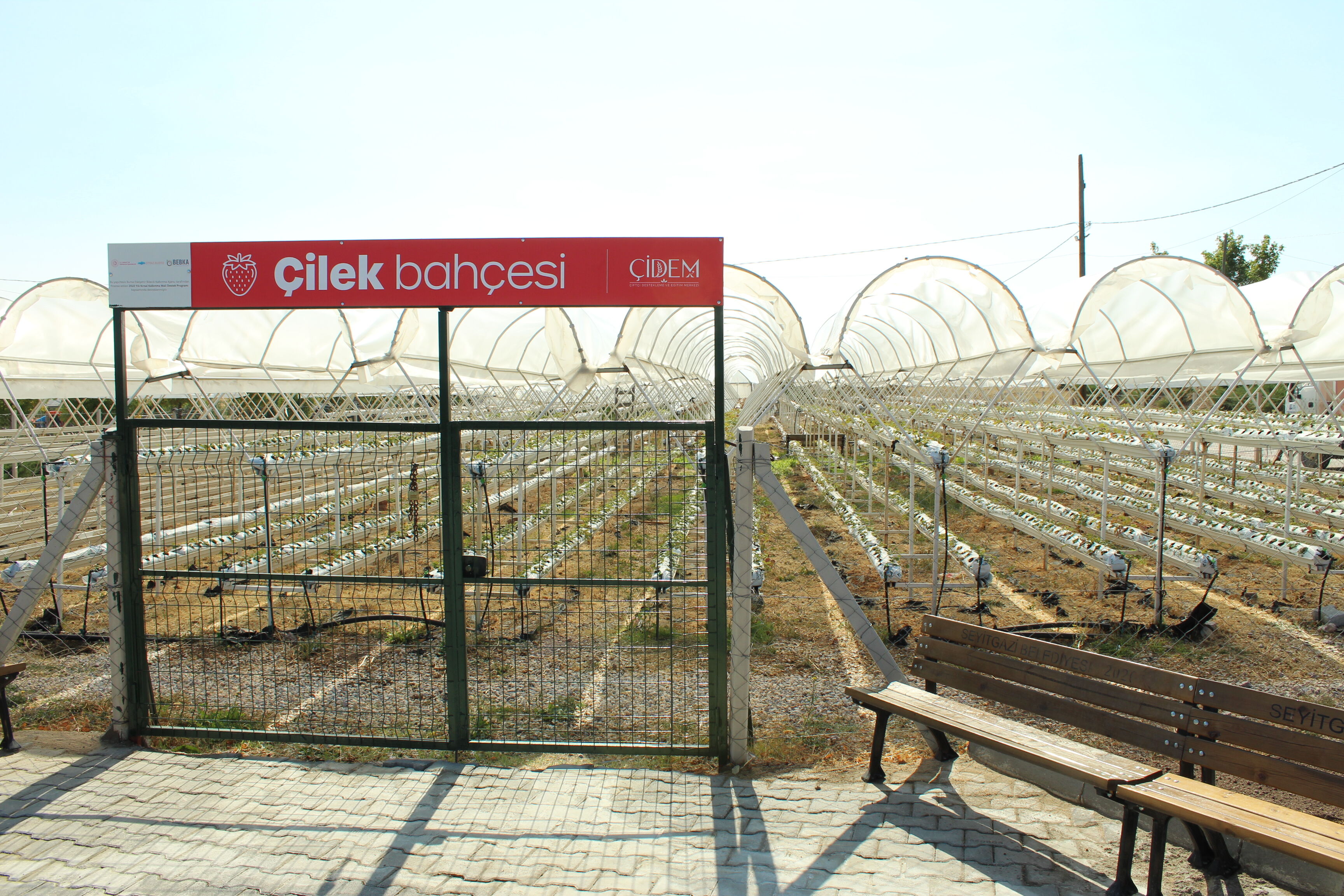 Çi̇dem (11)