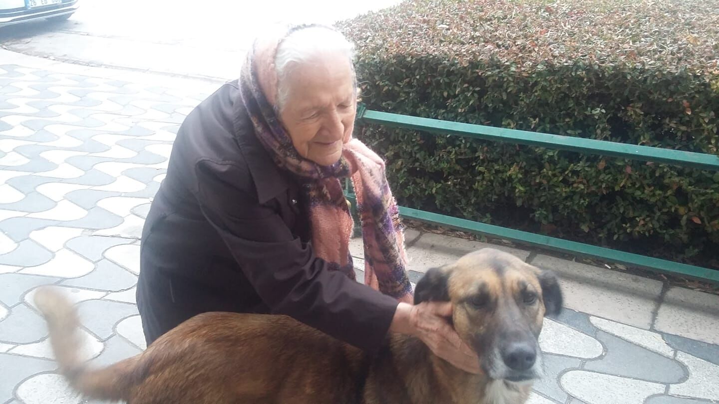 Safişle Annem