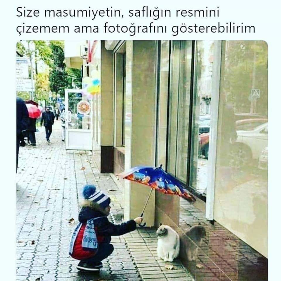 Sosyal Medya-146